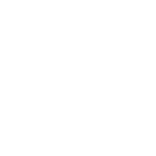 Home - Magnolia Ventures
